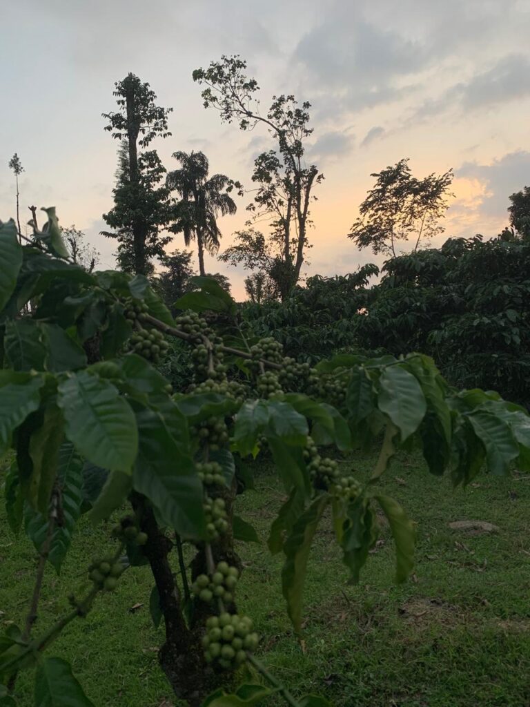 WhatsApp Image Dec 23 2024 (6)